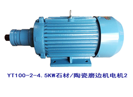 YT100-2-4.5KW YT100系列電機2