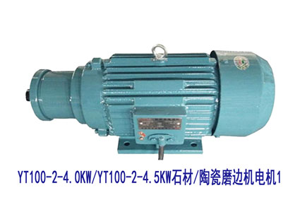 YT100-2-4.0KW/4.5KW YT100系列電機(jī)1