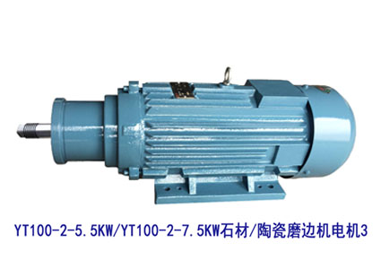 YT100-2-5.5KW/7.5KW YT100系列電機(jī)3